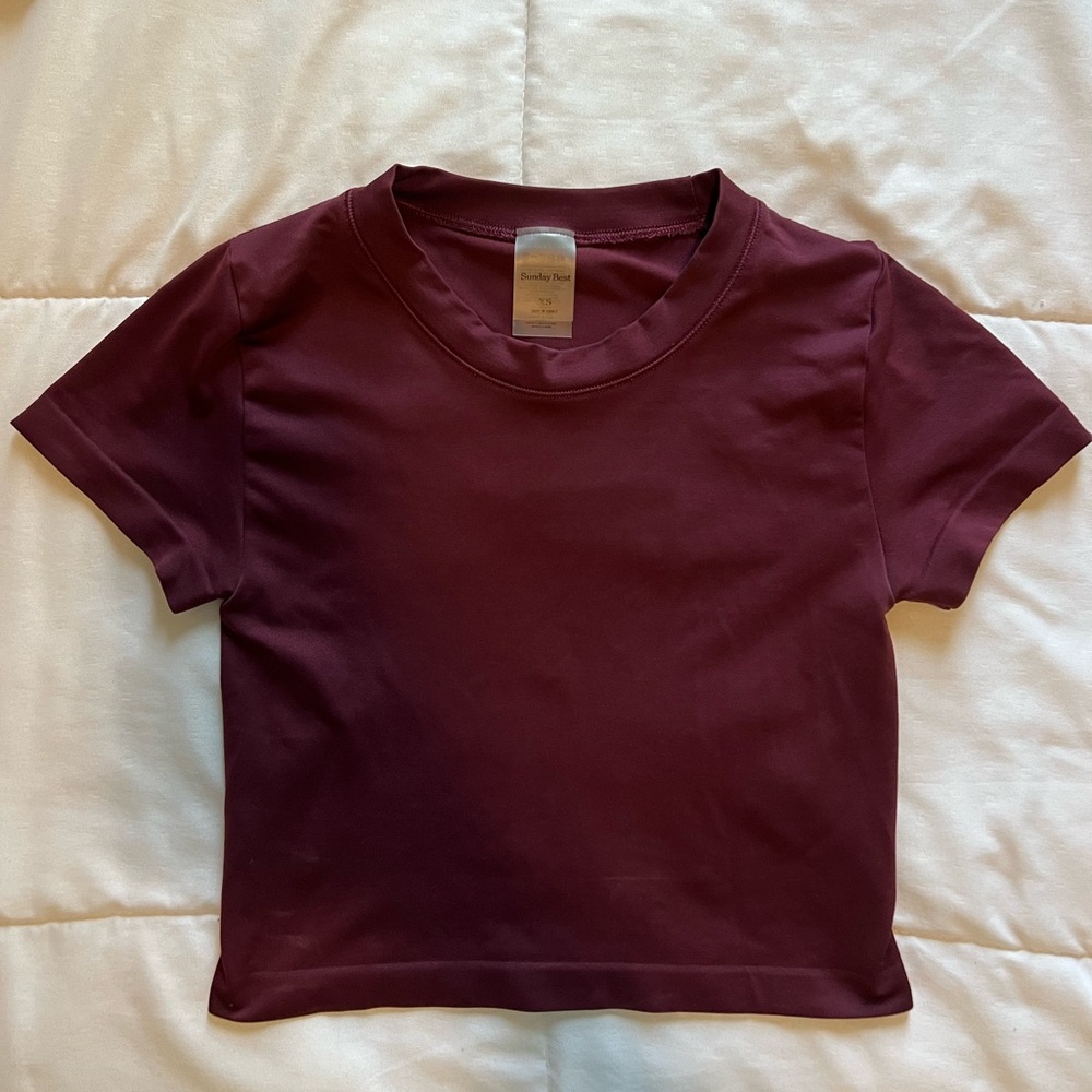 Sunday Best Aritzia Crew Cropped Tshirt